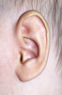 Ear Molding