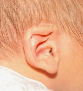 Ear Molding