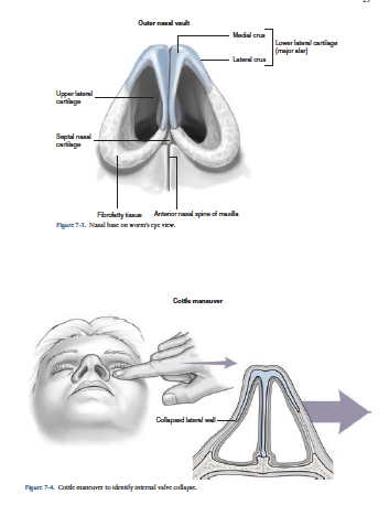 Microsoft Word - Rhinoplasty Atlas Preface.docx | Baker, Stephen ...